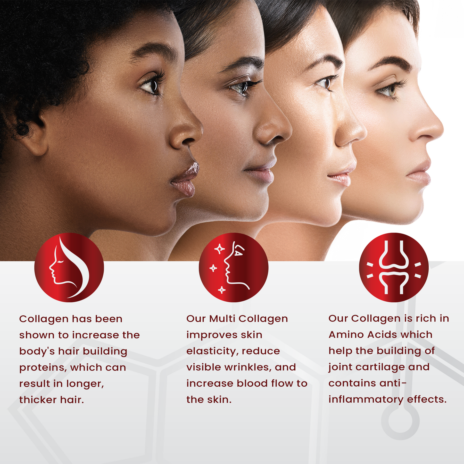 Multi Collagen Peptides Powder